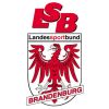 LSB Logo gr